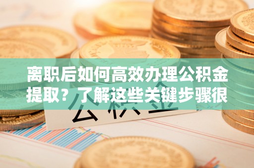 双牌离职后如何高效办理公积金提取？了解这些关键步骤很重要！