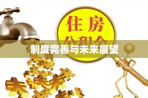 双牌制度完善与未来展望