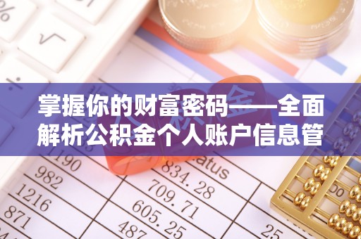 双牌掌握你的财富密码——全面解析公积金个人账户信息管理与优化