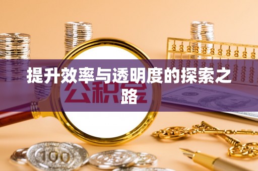 双牌提升效率与透明度的探索之路