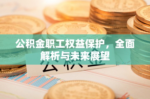 双牌公积金职工权益保护，全面解析与未来展望