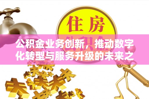 双牌公积金业务创新，推动数字化转型与服务升级的未来之路