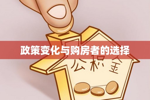 双牌政策变化与购房者的选择