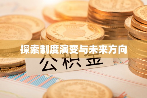 双牌探索制度演变与未来方向