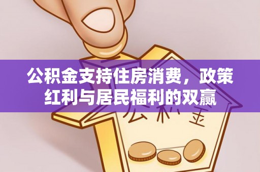 双牌公积金支持住房消费，政策红利与居民福利的双赢