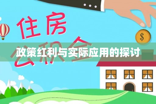双牌政策红利与实际应用的探讨