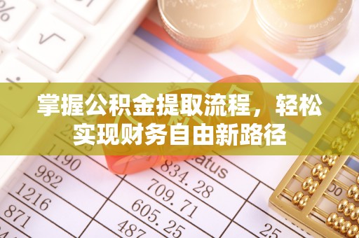 双牌掌握公积金提取流程，轻松实现财务自由新路径