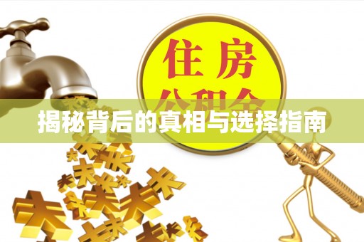 双牌揭秘背后的真相与选择指南