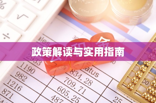 双牌政策解读与实用指南