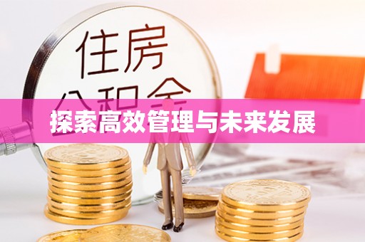 双牌探索高效管理与未来发展