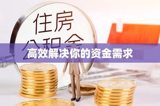 双牌高效解决你的资金需求
