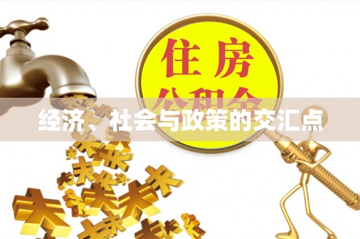 双牌经济、社会与政策的交汇点