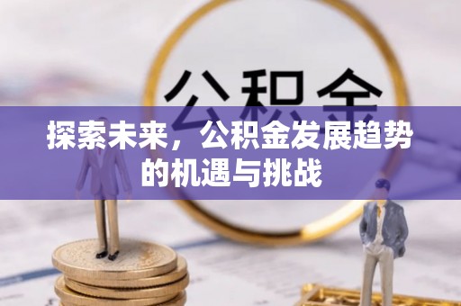 双牌探索未来，公积金发展趋势的机遇与挑战