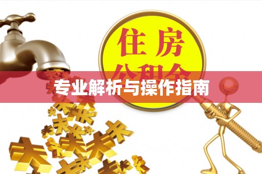 双牌专业解析与操作指南