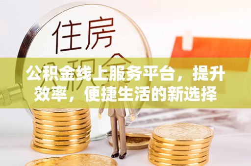 双牌公积金线上服务平台，提升效率，便捷生活的新选择