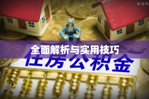 双牌全面解析与实用技巧