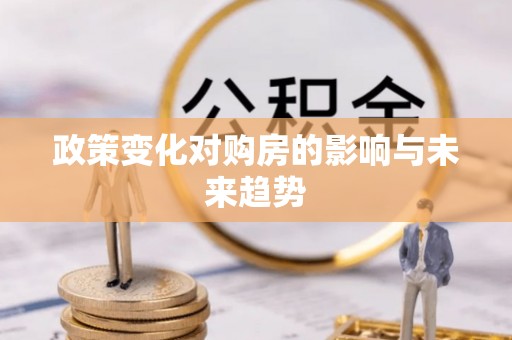 双牌政策变化对购房的影响与未来趋势
