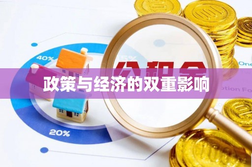 双牌政策与经济的双重影响