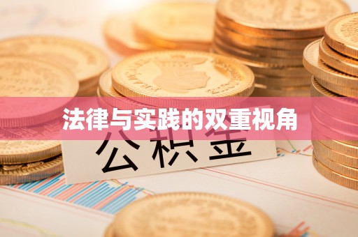 双牌法律与实践的双重视角