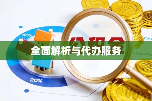 双牌全面解析与代办服务
