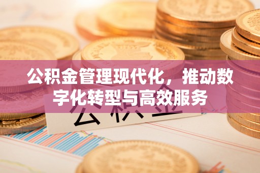 双牌公积金管理现代化，推动数字化转型与高效服务