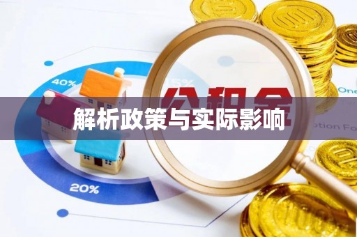 双牌解析政策与实际影响
