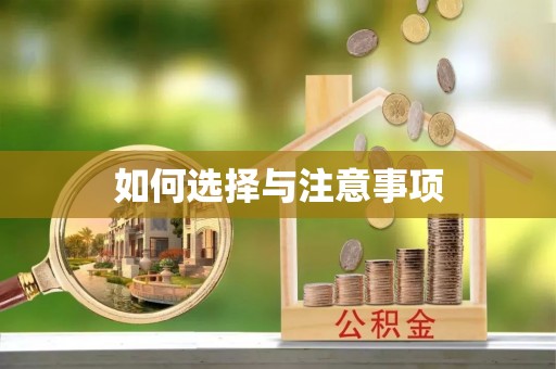 双牌如何选择与注意事项