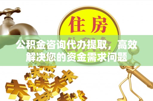 双牌公积金咨询代办提取，高效解决您的资金需求问题