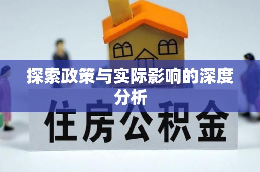 双牌探索政策与实际影响的深度分析