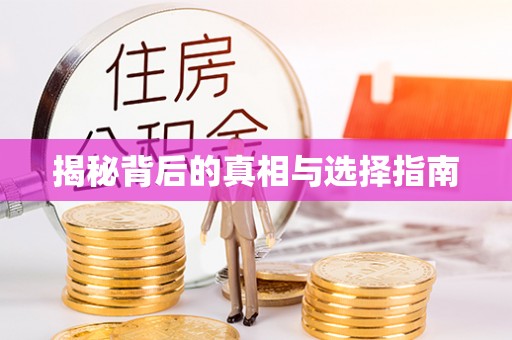 双牌揭秘背后的真相与选择指南