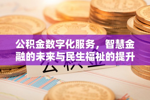 双牌公积金数字化服务，智慧金融的未来与民生福祉的提升