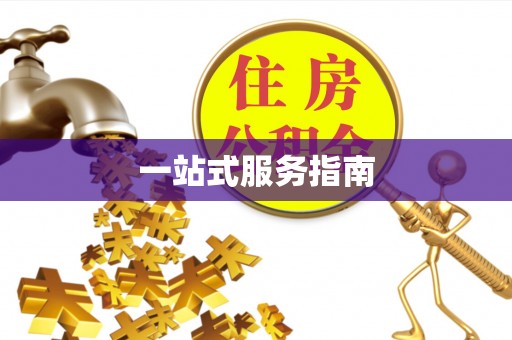 双牌一站式服务指南