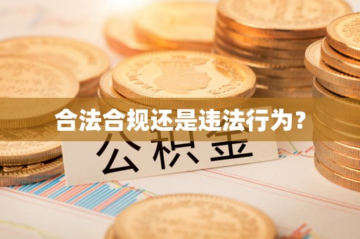 双牌合法合规还是违法行为？