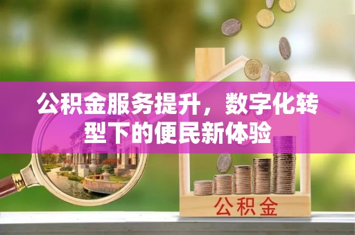 双牌公积金服务提升，数字化转型下的便民新体验