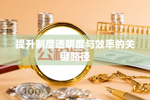 双牌提升制度透明度与效率的关键路径