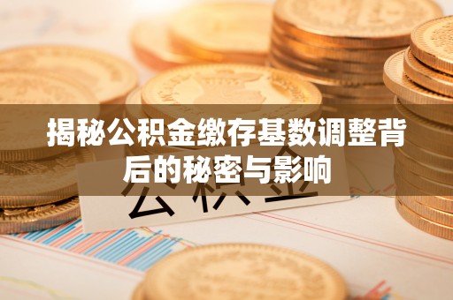 双牌揭秘公积金缴存基数调整背后的秘密与影响