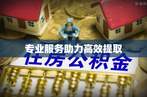 双牌专业服务助力高效提取