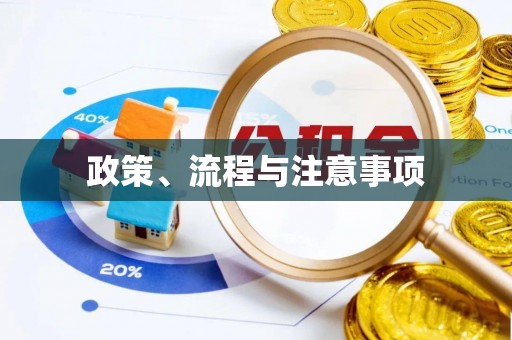 双牌政策、流程与注意事项