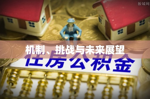 双牌机制、挑战与未来展望