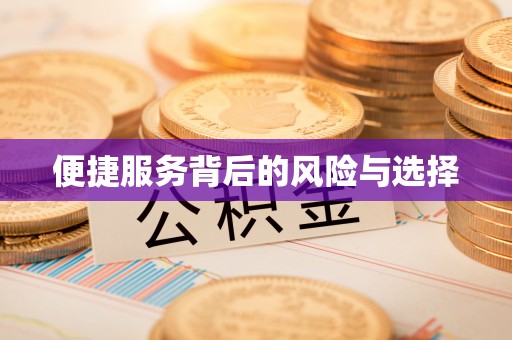 双牌便捷服务背后的风险与选择