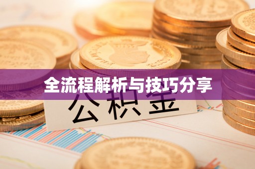 双牌全流程解析与技巧分享