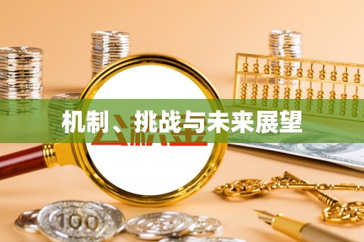 双牌机制、挑战与未来展望