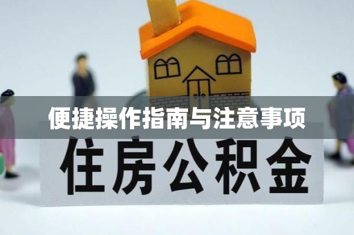 双牌便捷操作指南与注意事项