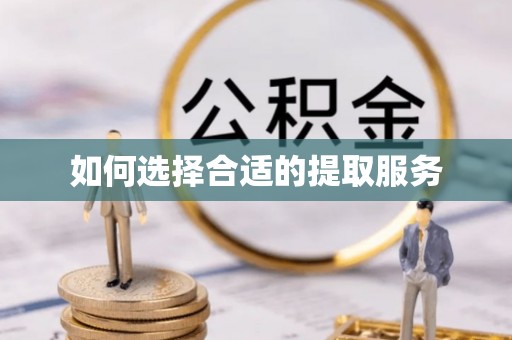 双牌如何选择合适的提取服务
